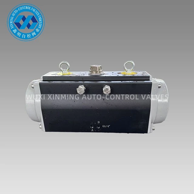 Oxidation Rack and Pinion Pneumatic Actuator