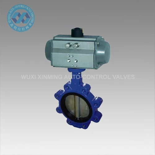 lug butterfly valve